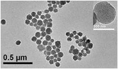 Development of an Approach of High Sensitive Chemiluminescent Assay for Cystatin C Using a Nanoparticle Carrier